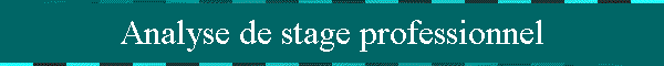 Analyse de stage professionnel